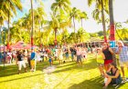 Bequia Music Festival: Island Vibes and Performances