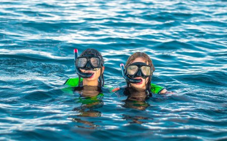 Best Caribbean Islands for Nature Lovers: St. Lucia's Pitons and Beyond