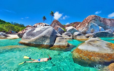 Forward Keys Insights: Competitive Caribbean Destinations in 2025