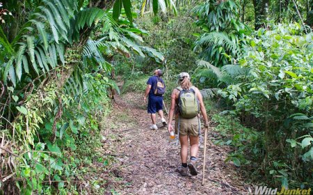 St. Vincent and the Grenadines: Volcano Treks and Diving Spots