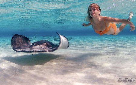 Cayman Islands Water Sports: Kayaking and Stingray Encounters