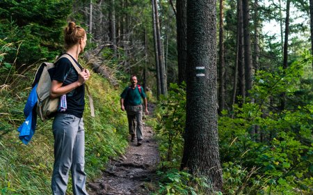 U.S. Virgin Islands Hiking Trails: National Parks and Scenic Views