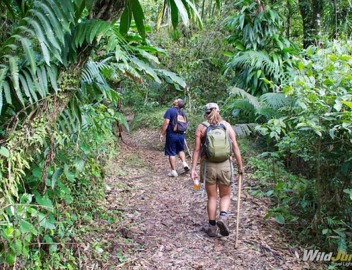 St. Vincent and the Grenadines: Volcano Treks and Diving Spots