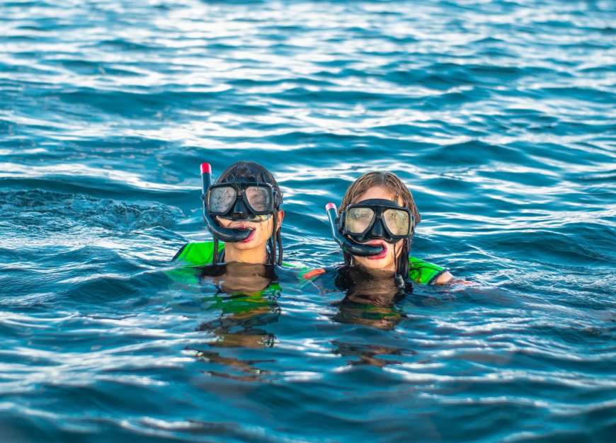 Best Caribbean Islands for Nature Lovers: St. Lucia's Pitons and Beyond