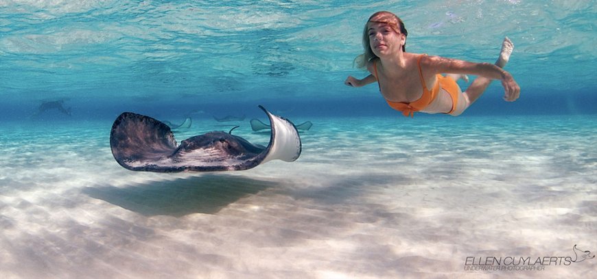 Cayman Islands Water Sports: Kayaking and Stingray Encounters