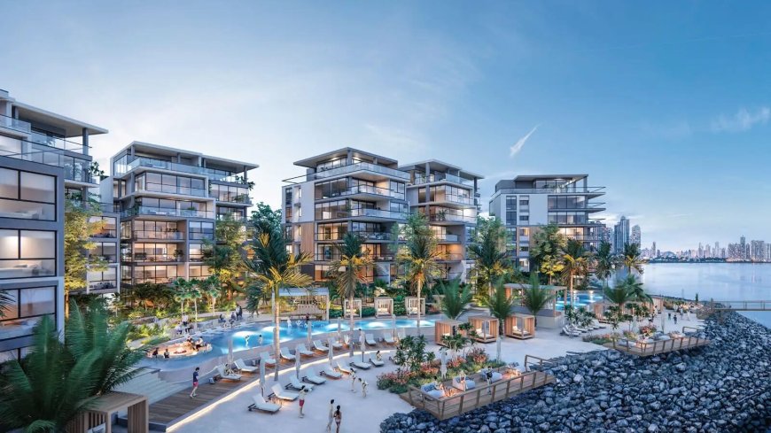 Investment-Ready Projects: Sustainability and Innovation Focus